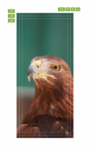 Eagle door mural FP 6243 - Graphic design featuring a brown-feathered eagle with a yellow beak.
