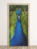 Door wallpaper FP 6254 - Graphic design featuring a peacock with vibrant blue feathers and green accents.