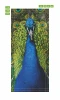 Door wallpaper FP 6254 - Graphic design featuring a peacock with vibrant blue feathers and green plumage.