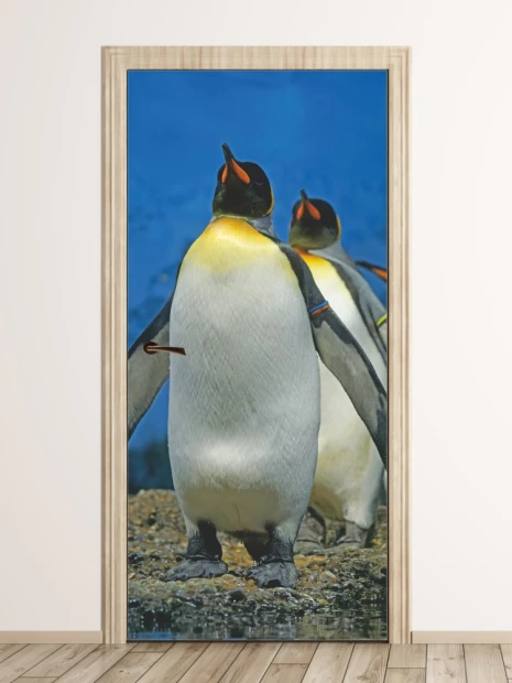 Penguin door wallpaper FP 6249 - Graphic design featuring two penguins against a blue sea backdrop.