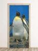 Penguin door wallpaper FP 6249 - Graphic design featuring two penguins against a blue sea backdrop.