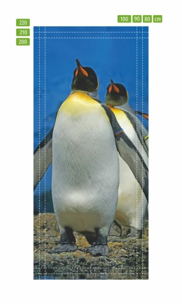Penguin door wallpaper FP 6249 - Graphic design featuring two penguins against a blue sky backdrop.
