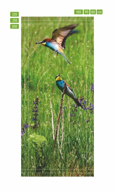 Birds door wallpaper FP 6240 - Graphic design featuring two birds, one in flight and the other on a branch against green grass.
