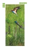 Birds door wallpaper FP 6240 - Graphic design featuring two birds, one in flight and the other on a branch against green grass.
