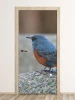 Bird door wallpaper FP 6252 - Modern interior design with light-colored walls and wooden flooring.