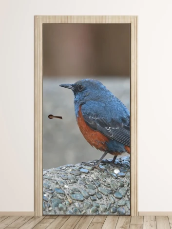 Bird door wallpaper FP 6252 - Modern interior design with light-colored walls and wooden flooring.