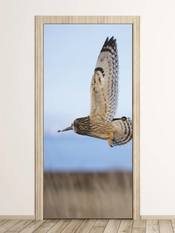 Owl door mural FP 6257 - Graphic design featuring an owl in flight against a sky and grass background.