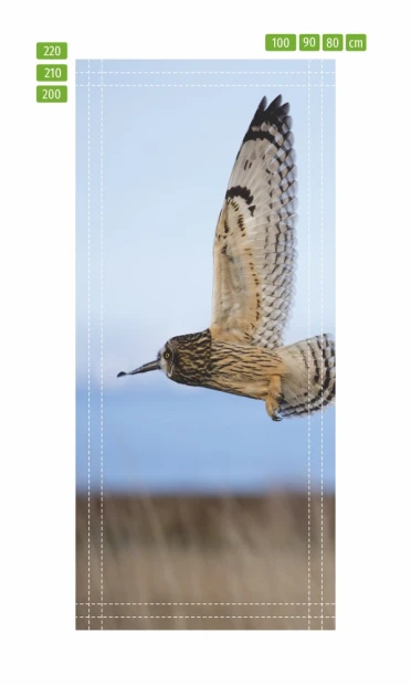 Owl door mural FP 6257 - Graphic design featuring an owl in flight against the sky with outstretched wings.