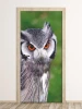 Owl door wallpaper FP 6258 - Graphic design featuring an owl with bright orange eyes on a green background.
