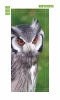 Door mural owl FP 6258 - Graphic design featuring an owl with distinct orange eyes and gray-brown feathers.