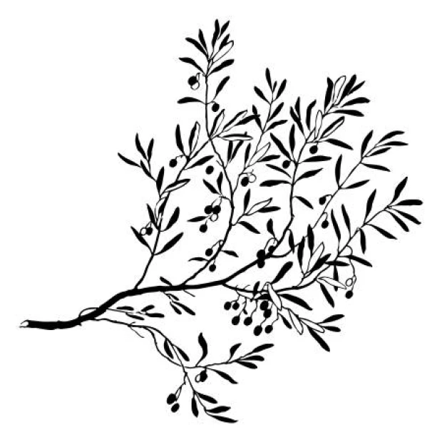 Wall sticker tree branch 2379 - Graphic design featuring a black branch with leaves and fruits.