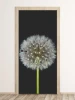 Dandelion door mural on black background FP 6288 - Graphic design with clear details.