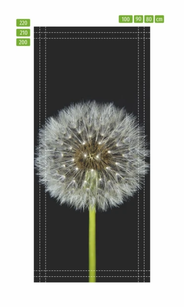 Dandelion door mural on a black background with white hairs, graphic design FP 6288.