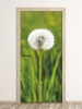 Dandelion door wallpaper FP 6286 - Graphic design with a dandelion on a green background and clear details.