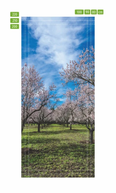 Door sticker wallpaper FP 6301 - Graphic design featuring a row of fruit trees in blooming pink flowers.