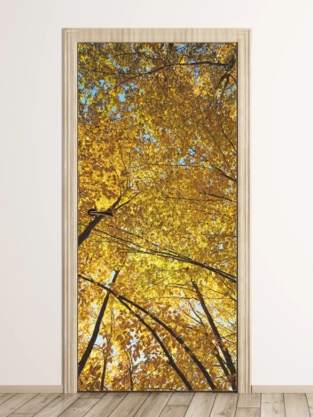 Door sticker wallpaper FP 6302 - Graphic design featuring tree crowns with yellow leaves against a sky backdrop.