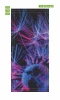 Dandelion door sticker FP 6311 - Graphic design featuring dandelions in shades of blue and pink.