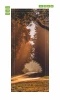 Forest road door sticker FP 6304 - Graphic design featuring a warm tree-lined path.