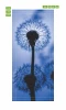 Dandelion door sticker FP 6312 - Graphic design with two dandelions on a blue background and clear details.