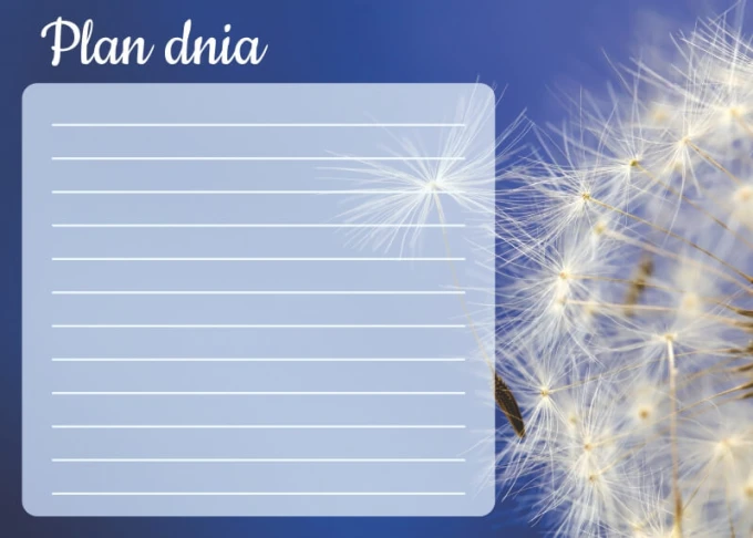 Dry-erase daily planner board Dandelion 355 - Graphic design featuring dandelions on a blue background.