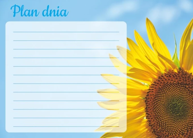 Dry-erase magnetic board daily planner sunflower 354 - Features a graphic of a sunflower with large petals.