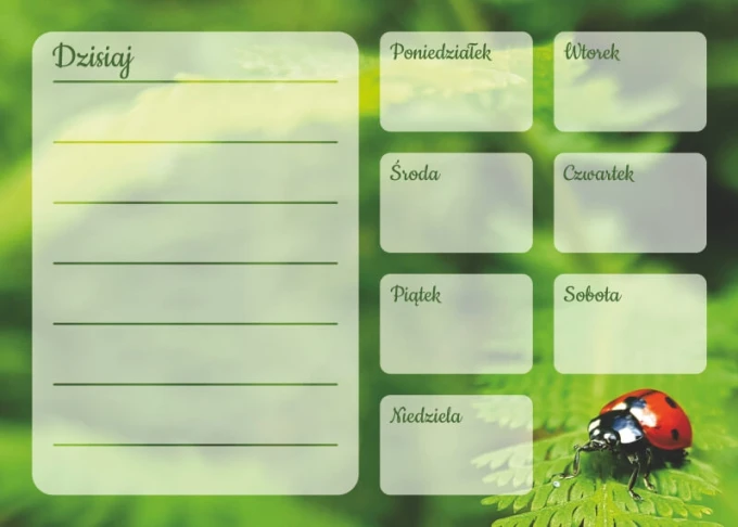 Weekly planner magnetic whiteboard with a green leaf background and ladybug design at the bottom.