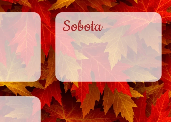 Magnetic dry-erase board weekly planner with autumn leaves in shades of red and yellow.