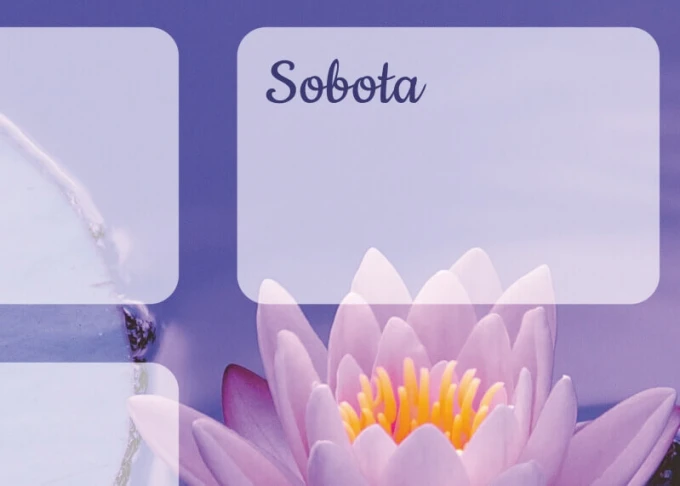 Dry-erase weekly planner board with a lotus flower design in shades of pink.