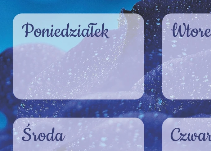 Dry-erase weekly planner board with a blue rose design. Features a beautiful blue rose background.