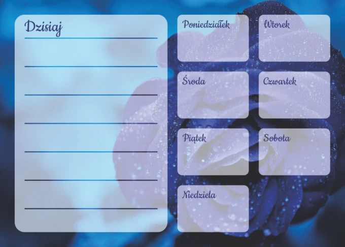 Blue rose weekly planner dry-erase board with a graphic design and six sections.