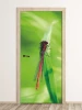 Dragonfly door sticker FP 6325 - Graphic design with a dragonfly on a green background, showcasing detailed wings and body.