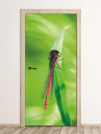 Dragonfly door sticker FP 6325 - Graphic design with a dragonfly on a green background, showcasing detailed wings and body.