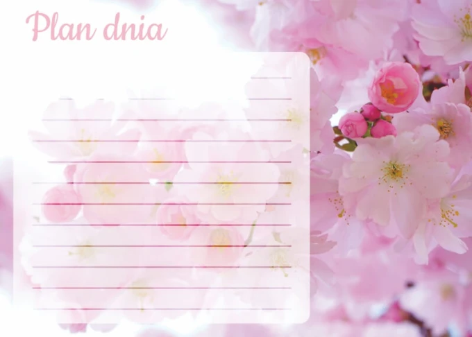 Cherry blossom dry-erase board 359 - Graphic design with a pink cherry blossom background and space for notes.