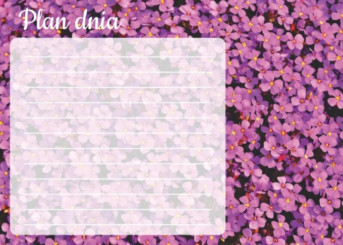 Dry-erase daily planner board with floral design. Features a white rectangle on a purple flower background.