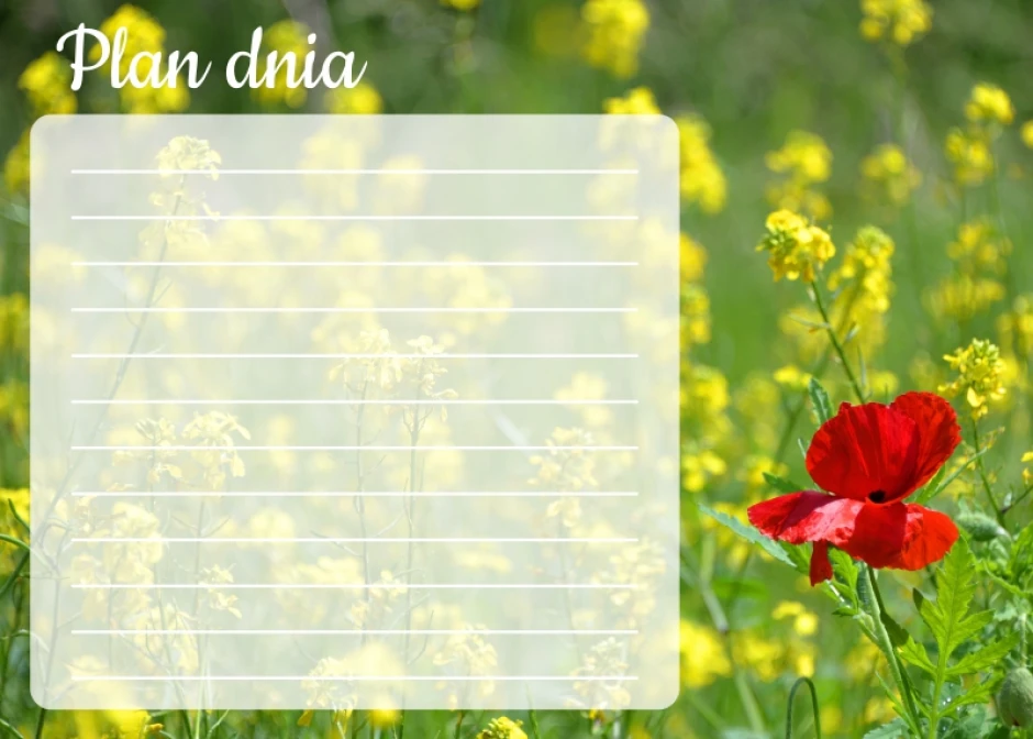 Day planner dry-erase board mak 363 - Graphic design featuring yellow flowers and red poppies on a green meadow background.