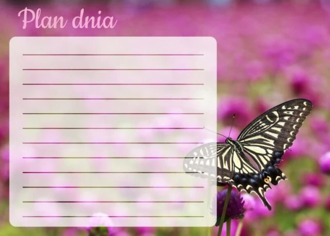 Dry-erase daily planner board with butterfly design on a floral background and writing lines.