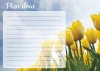 Dry-erase daily planner board with a tulip design featuring yellow tulips against a sky background and writing lines.