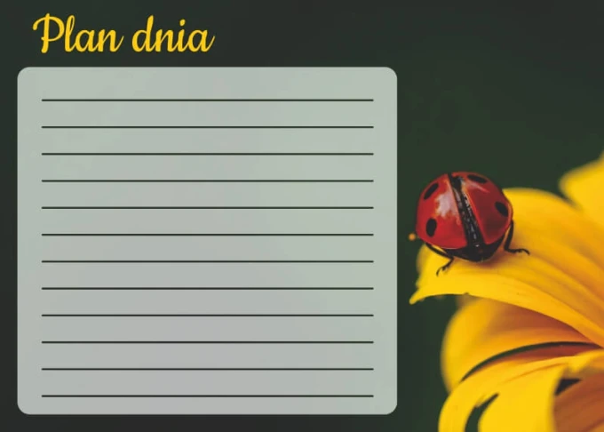 Magnetic dry-erase board with ladybug design on a yellow background, perfect for daily planning.