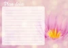 Dry-erase magnetic board daily planner lotus 361 - Graphic design. Pink background with a lotus flower.