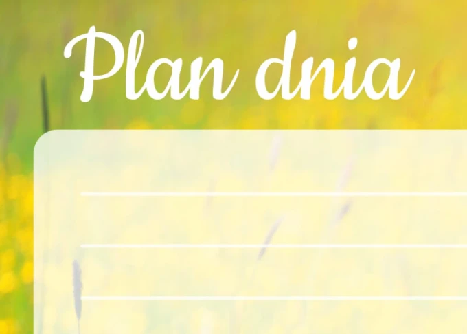 Dry-erase magnetic board daily planner 364 - Graphic design. Features the text "Daily Plan" on a green grass background.
