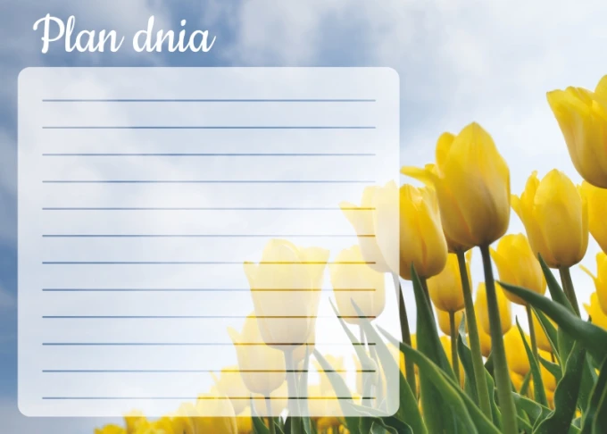 Dry-erase magnetic board daily planner with yellow tulips on a sky background and white lines.