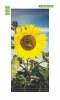 Sunflower door sticker FP 6335 - Graphic design featuring a large yellow sunflower against a sky with clouds.