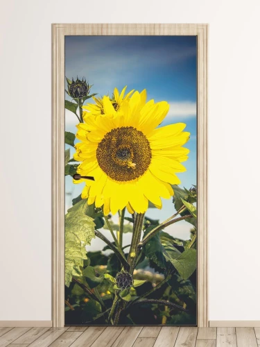Wallpaper Sticker For Door Sunflower Fp 6335