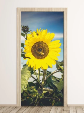 Sunflower door sticker FP 6335 - Graphic design featuring a large yellow sunflower with green leaves against a sky backdrop.