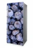 Fridge wrap sticker P1001 - Graphic design featuring blue berries in various shapes.