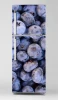 Fridge wrap sticker P1001 - Graphic design featuring blue berries in various shapes.