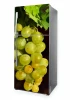 Refrigerator wrap sticker grapes P1008 - Graphic design featuring green grapes on a dark background.
