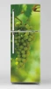 Refrigerator wrap sticker grapes P1010 - Graphic design featuring a bunch of green grapes on a green background.