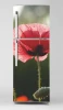 Refrigerator wrap sticker P1074 - Red poppy flower with green stems on a dark background.