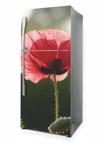 Refrigerator wrap sticker with a large pink poppy on a dark background and subtle details.